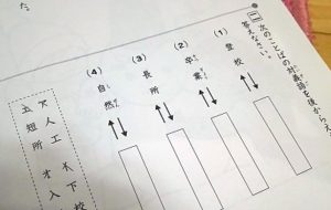 【早稲田アカデミー】小3・冬期学力診断テストの結果 - 花ちゃんの勉強日記