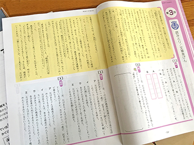 中身は未記入で綺麗ですエブリスタディアドバンストZ会算数　小5　一年間